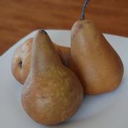 Pyrus communis 'Bosc'